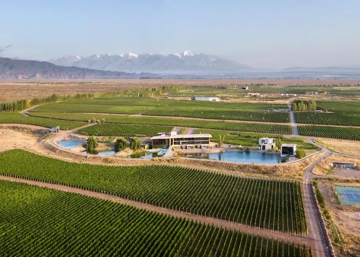 Casa De Uco Vineyards And Wine Resort Los Arboles