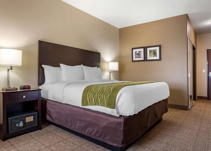 Comfort Inn & Suites Scott-West Lafayette