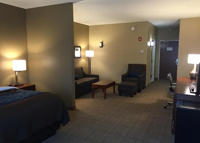 Comfort Inn & Suites Lynchburg Airport - University Area