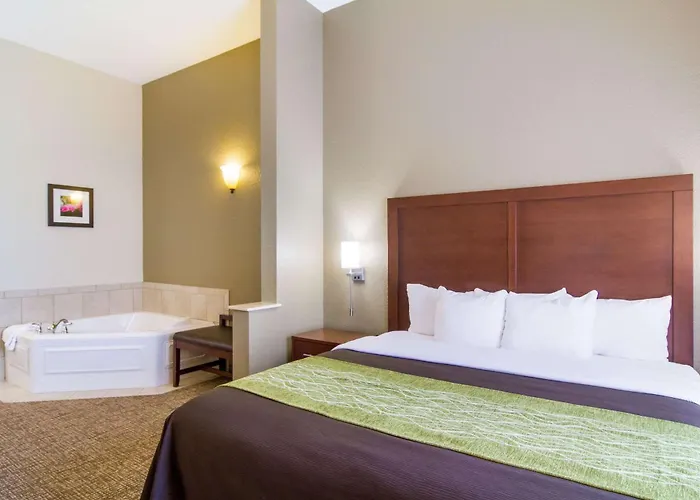 Comfort Inn Blackshear Hwy 84