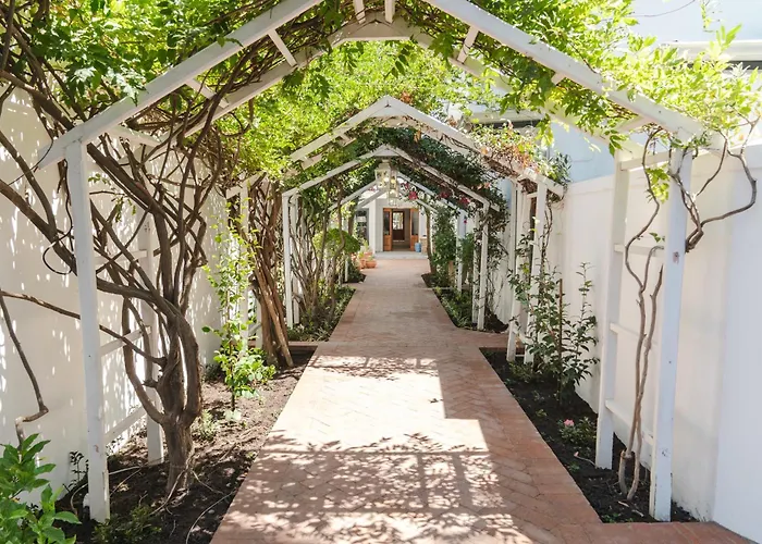 Last Word Franschhoek