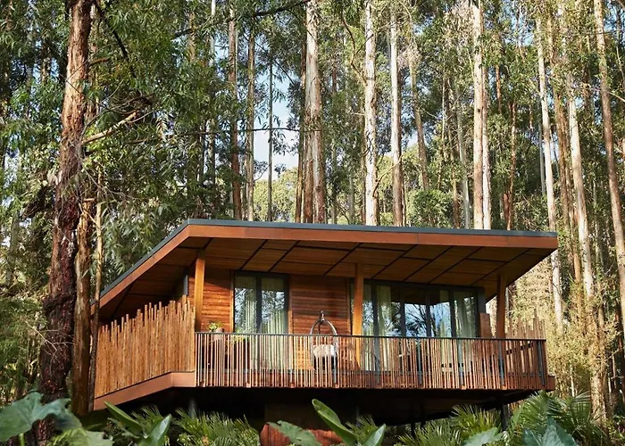 One&Only Gorilla'S Nest Hotel Kinigi