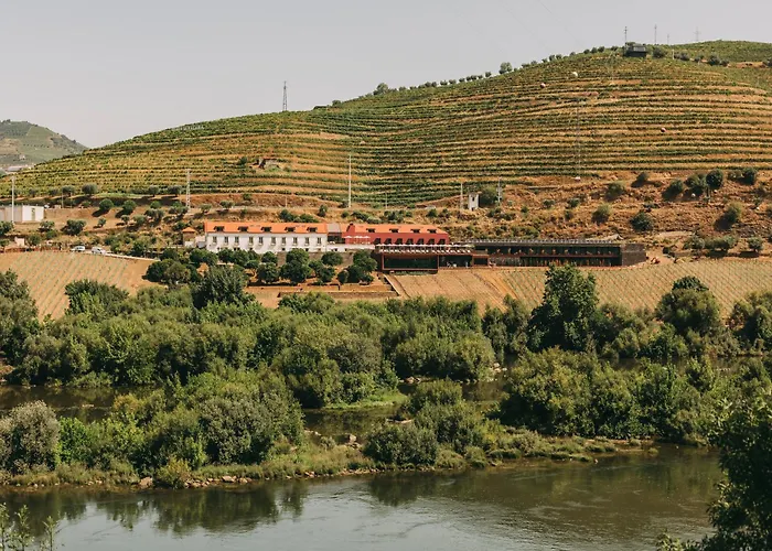 Torel Quinta Da Vacaria - Douro Valley Peso da Regua