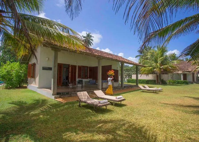 The Frangipani Tree By Edwards Collection - Thalpe Hotel Unawatuna