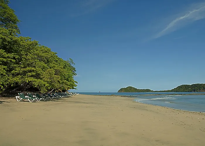 Occidental Papagayo (Adults Only) Hotel Culebra