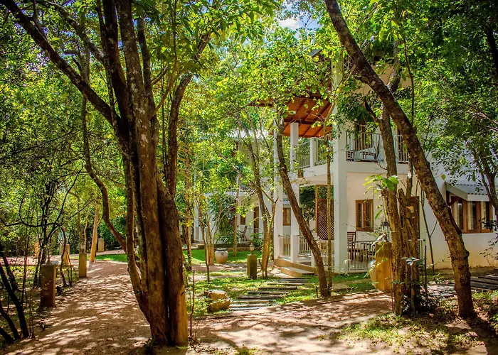 Amaara Forest Hotel Sigiriya