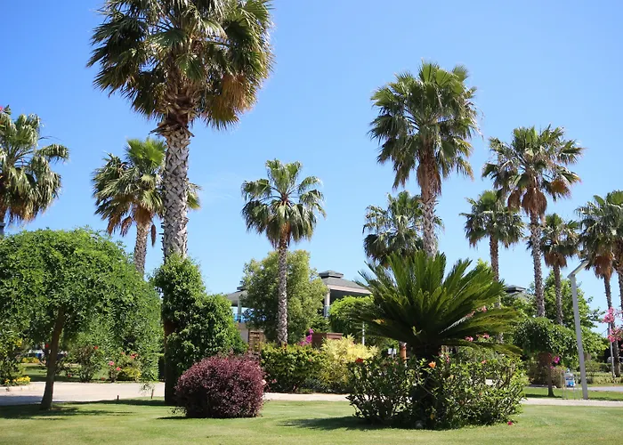 Tui Magic Life Jacaranda Hotel Side