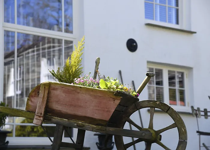 Padstow Townhouse Bed & Breakfast