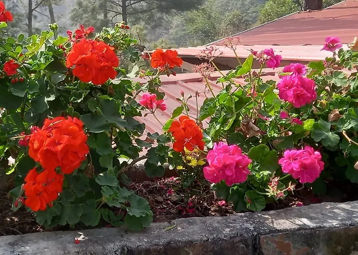 Storii By Itc Hotels, The Kaba Retreat, Solan