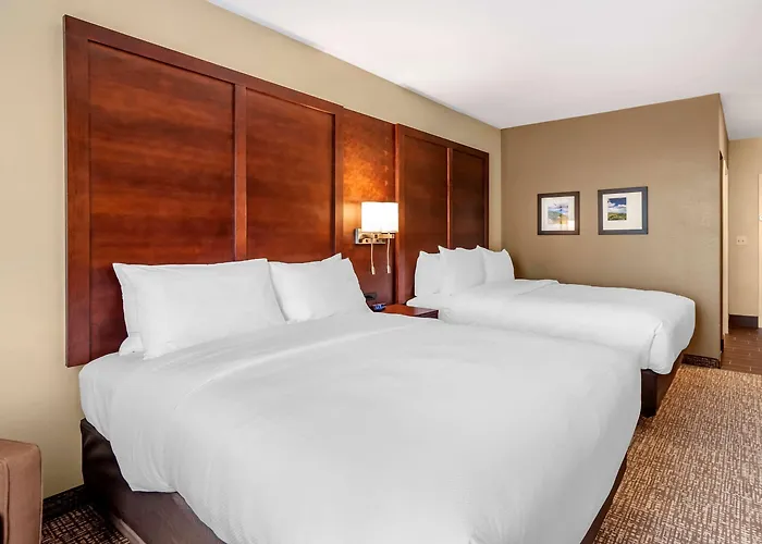 Comfort Inn & Suites Winchester