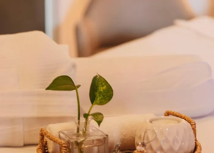 Hotel Boutique Casareyna Puebla